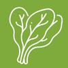Terre Promise_semences_Producteur_Fines Herbes