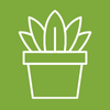 Terre Promise_semences_Producteur_Plantes tropicale