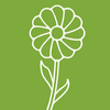 Terre Promise_semences_Producteur_Fleurs