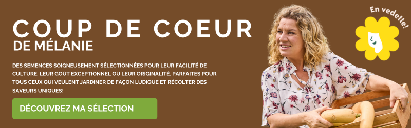 Terre Promise_Coup de coeur de Mélanie