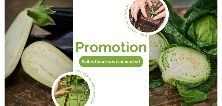 Terre Promise_Coup de coeur de Mélanie _ Promotion