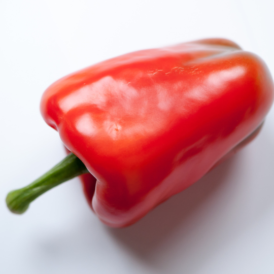 Poivron Yankee (Capsicum anuum)