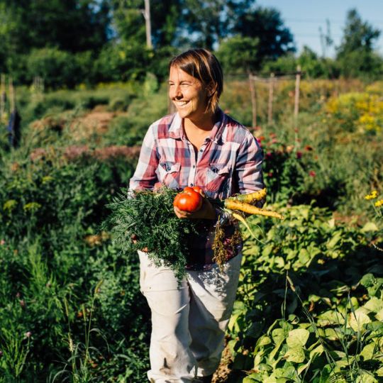 Forgotten vegetables and lost varieties