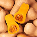 [346] Courge Butternut (Cucurbita moschata)