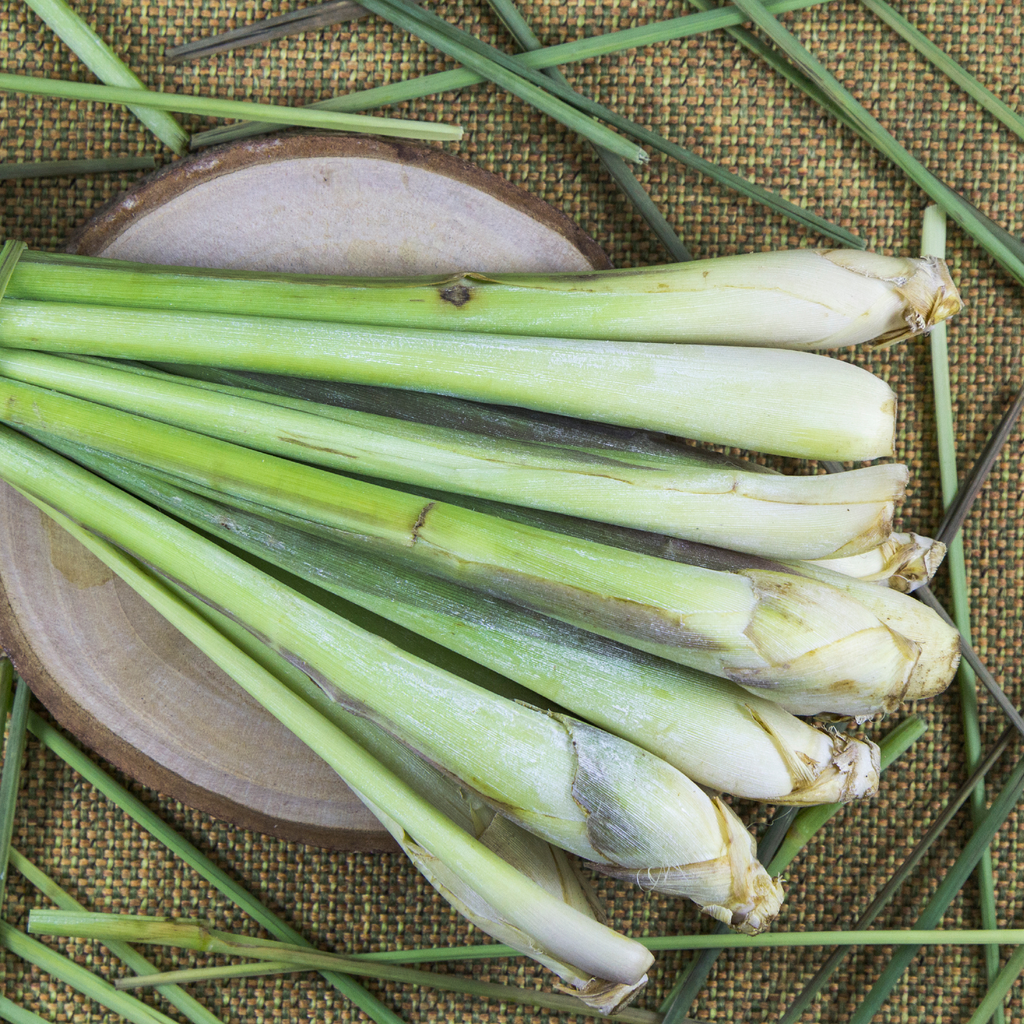 Lemongrass (Pelargonim citronellum)