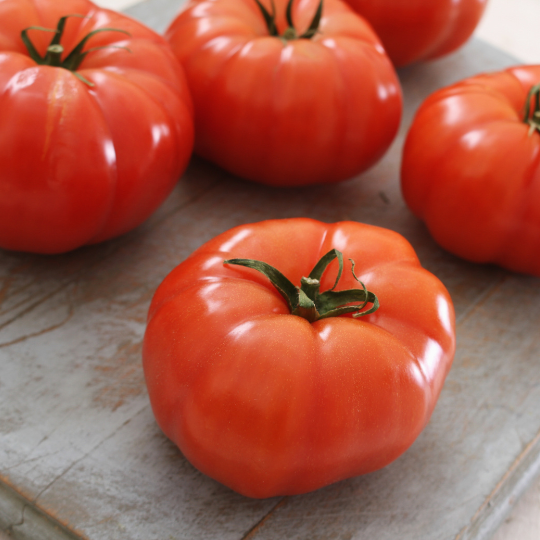 Tomate Savignac (Solanum lycopersicum)