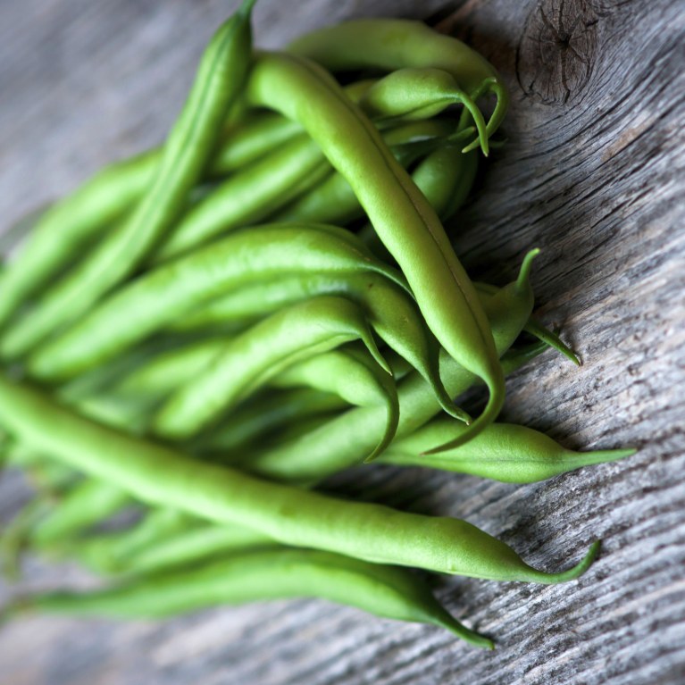 Grand-mère Pole Bean (Phaseolus vulgaris)