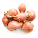 [B-6] Saint-Anne shallots (Allium ascalonicum)