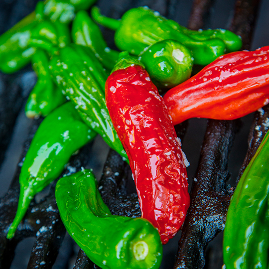 Pepper Shishito (Capsicum anuum)