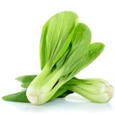 [053] Chou Bok Choy Shangai Green (Brassica rapa var. chinensis)