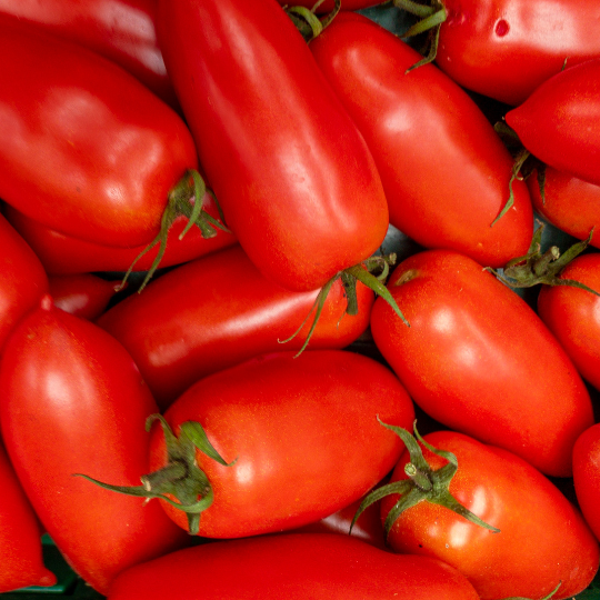 San Marzano tomato (Solanum lycopersicum)