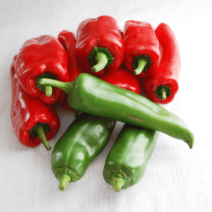 Piment de type Espelette (Gorria) (Capsicum annuum)