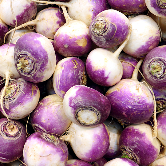 Navet White Purple Globe (Brassica rapa)