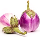 [020] Aubergine Rosa Bianca (Solanum melongena)