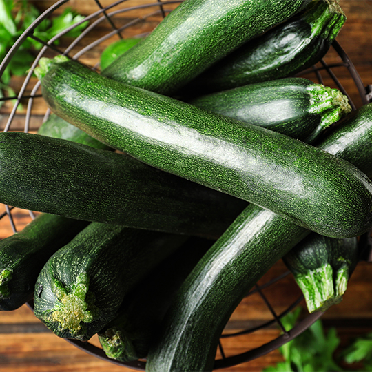 Zucchini Dark Star (Cucurbita pepo)