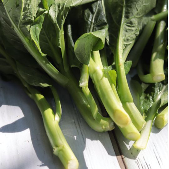 Chou Gai Lan (Brassica oleracea var. alboglabra)