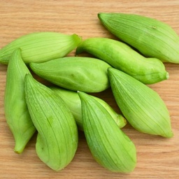 [122] Achocha cucumber (Cyclanthera pedata)