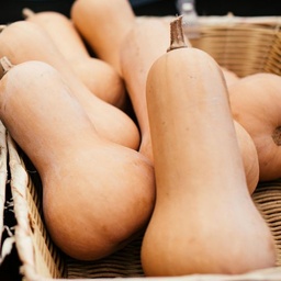 [346] Butternut Squash (Cucurbita moschata)