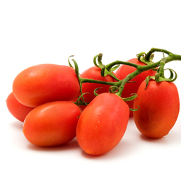 [325] Tomate Rio Grande (Solanum lycopersicum)