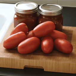 [325] Tomate Rio Grande (Solanum lycopersicum)