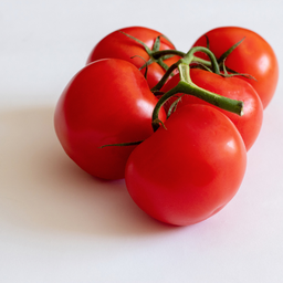 [278] Bishop Castle Tomato (Solanum lycopersicum)