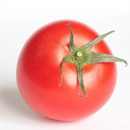 [117] Tomate Red Ross Salad (Solanum lycopersicum)