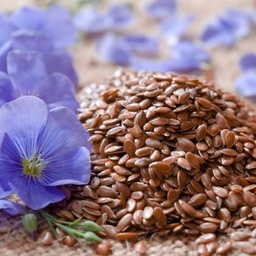 [108-02] Roumanian flax (Linum usitatissimum)